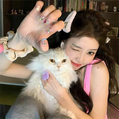 飞翔吧！战机少女